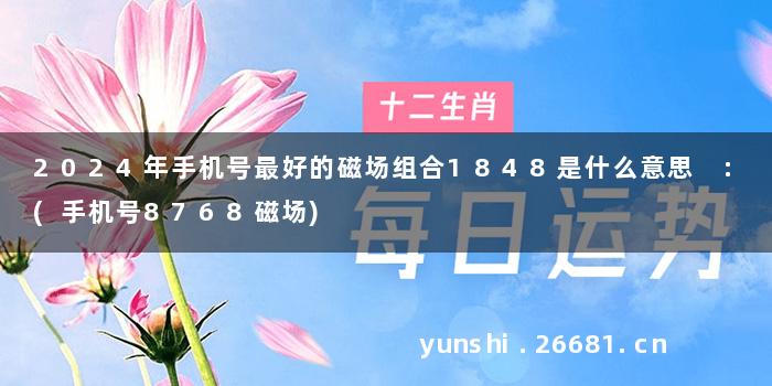 2024年手机号最好的磁场组合1848是什么意思 :(手机号8768磁场)